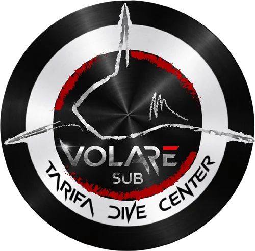 Volare Sub, Buceo en Tarifa
