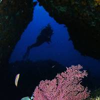 Buceo en Cádiz