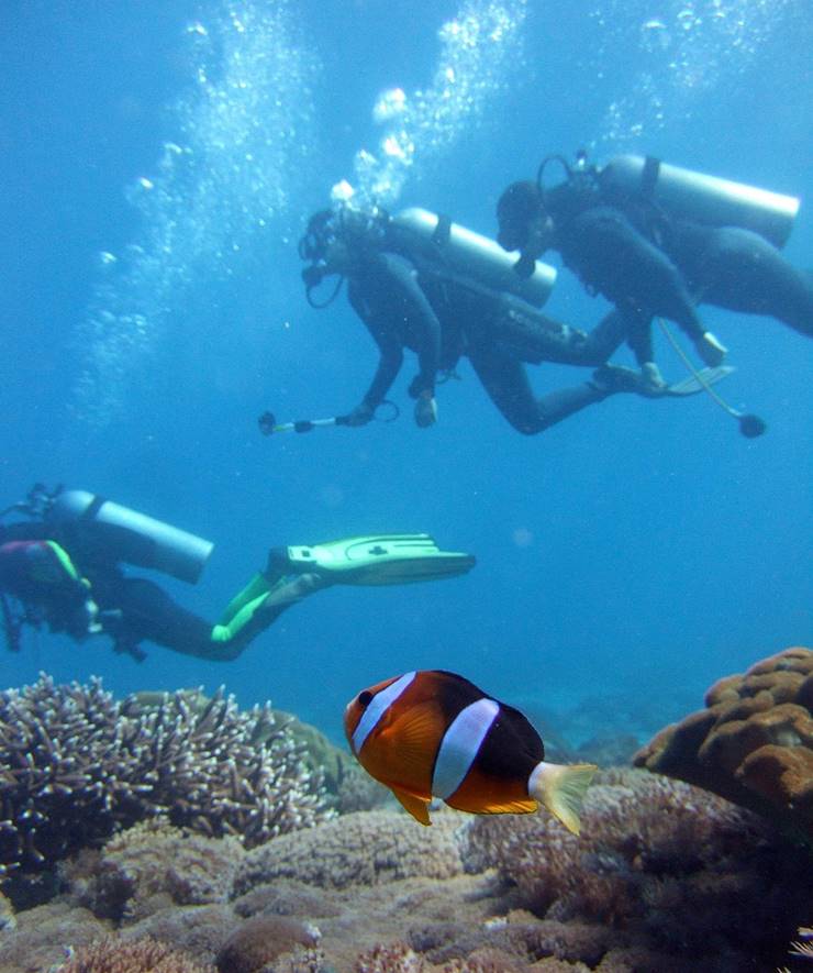 Dive Master