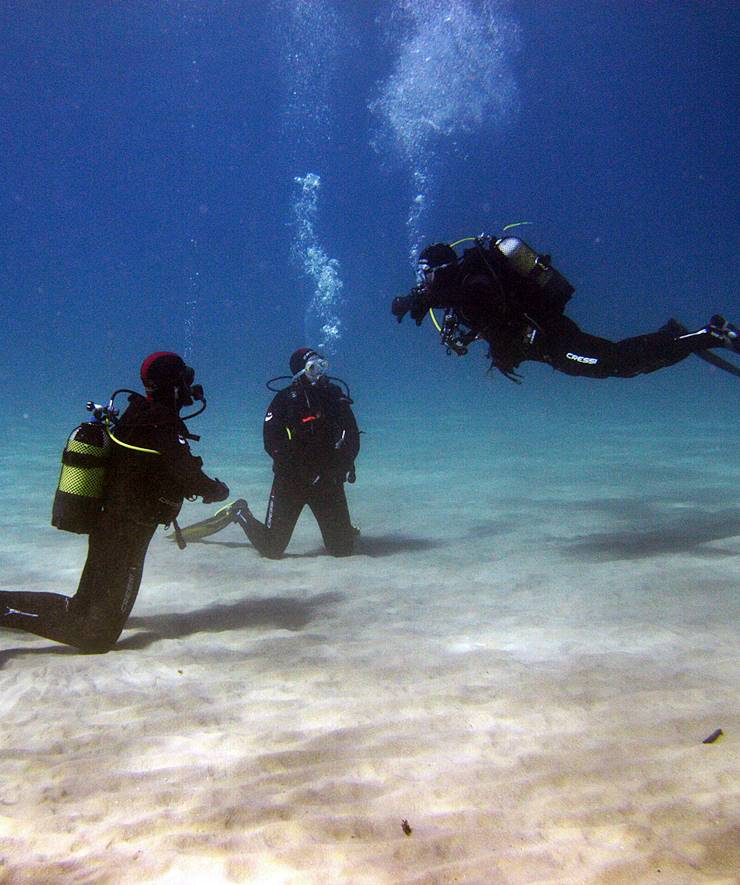 Open Water Diver