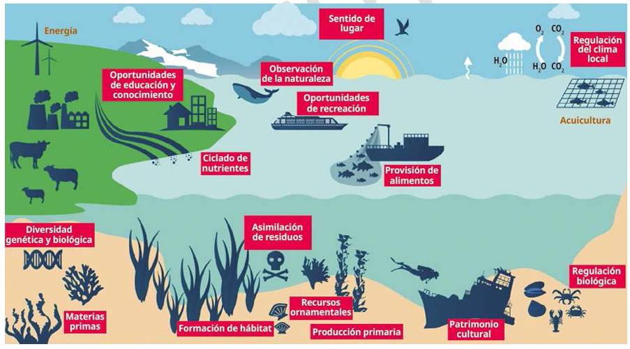 Los bienes ecosistémicos de los océanos
