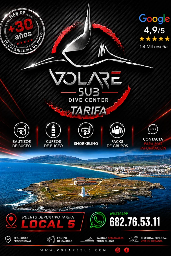 Cursos de buceo – Bautizos de buceo – Salidas de buceo Volare Sub Dive Center Cursos de buceo - Bautizos de buceo - Salidas de buceo Volare Sub Dive Center